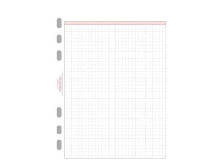 Chronoplan - Ark - A5 (148 x 210 mm) - 50 ark - rutet - 6 hull - for P/N: 50101, 50102, 50103, 50163, 50167, 50172, 50173, 50830, 50831