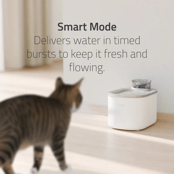 Hombli HBWF-0109, Automatisk vanndispenser for kjæledyr, Rustfritt stål, Hvit, Innendørs, Katt, 3,5 l