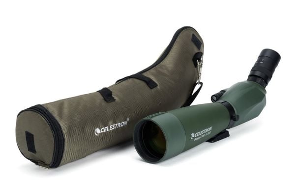 Celestron Regal M2 - Observasjonsteleskop 20-60 x 80 - vanntett - grønn