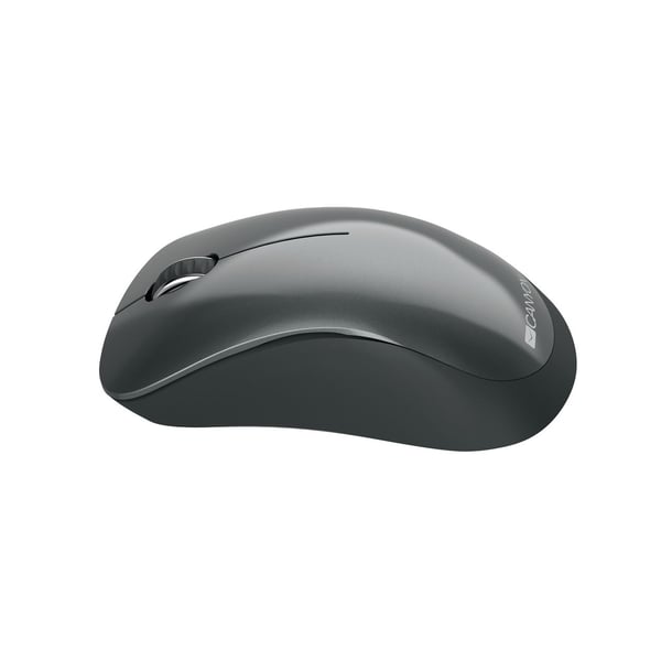 Canyon MW-11 - Mus - høyrehendt - optisk - 3 knapper - trådløs - 2.4 GHz - USB trådløs mottaker - svart
