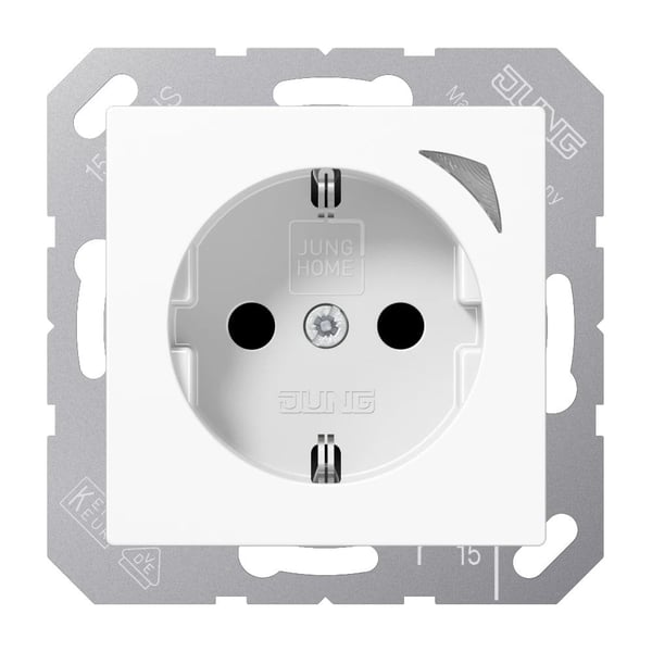 Jung HOME SCHUKO BTA1521SWW Pistorasia 1 (BTA1521SWW)