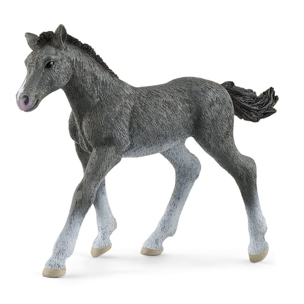 Schleich Trakehner hingstefole