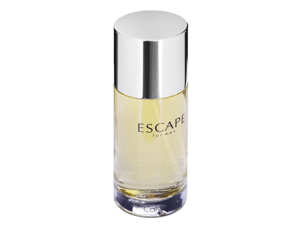 Calvin Klein Escape for Men Eau De Toilette 100 ml (man)