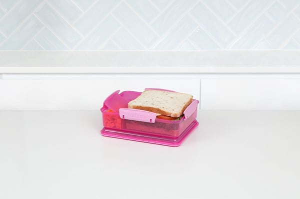 Sistema Snack Attack Duo 975 ml rosa