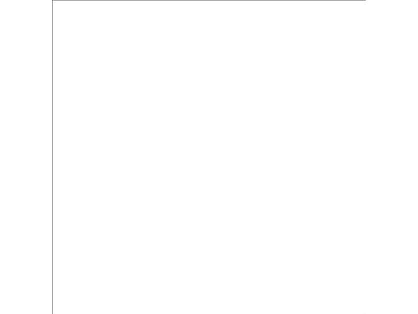 Talens Art Creation Indoor & Outdoor Bottle Pure White 1001