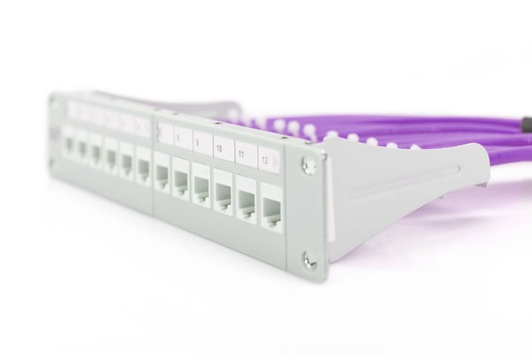 DIGITUS Professional - Irtokaapeli - 305 m - taitettu suojaamaton kierretty parikaapeli (F/UTP) - CAT 6 - halogeeniton, kiinteä - violetti, RAL 4005