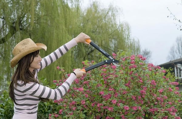 Fiskars PowerGear L70 - Kapper - FiberComp / polybutylentereftalat (PBT) - 460 mm