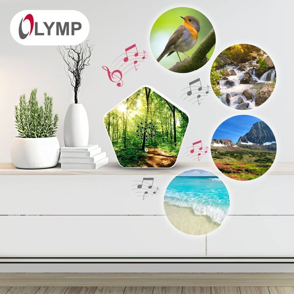 Olympia Olymp Nature BOX -tietokonekaiuttimet