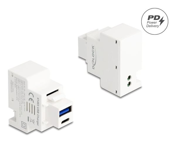 DeLOCK 41483, Tasainen, Valkoinen, USB A + USB C, 2-pin terminal, Naaras, 20 W