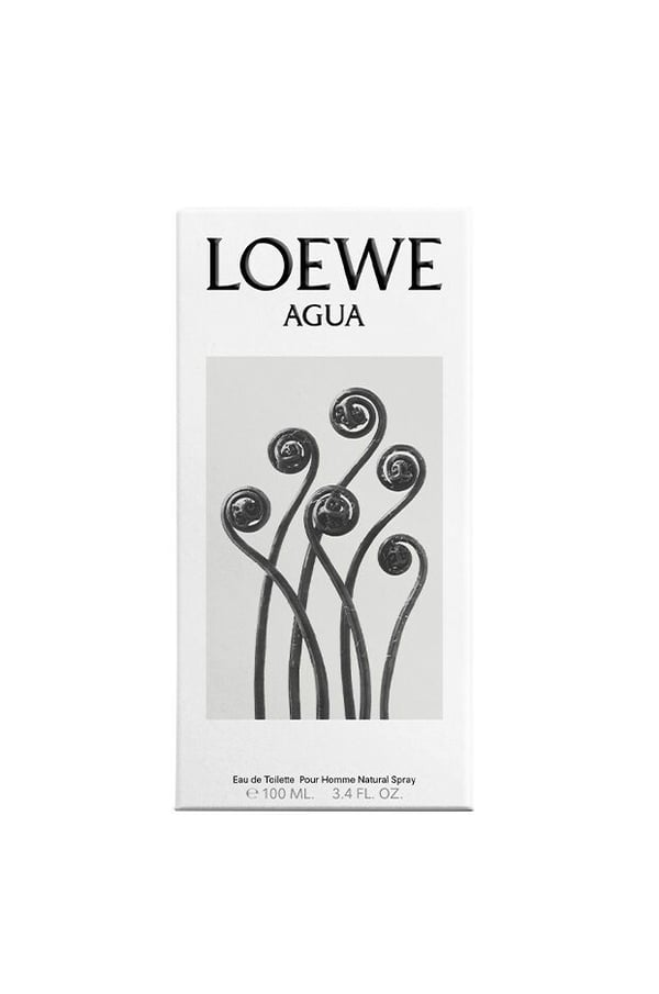 Loewe Agua Eau de Toilette unisex-hajuvesi 100 ml