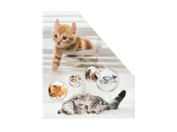 HERMA samlermappe katter A4 gul
