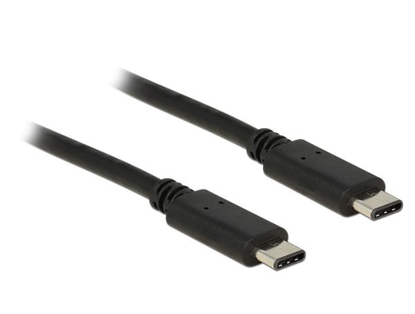 Delock - USB-kabel - USB-C (hane) till USB-C (hane) - USB 2.0 - 1 m - svart