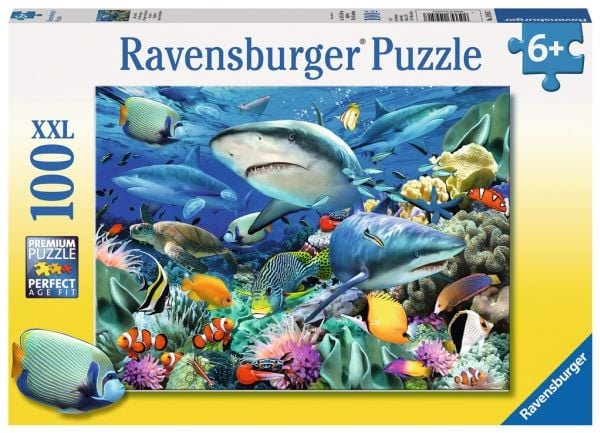 Ravensburger 4049817654408, 100 kpl, 6 vuosi/vuosia
