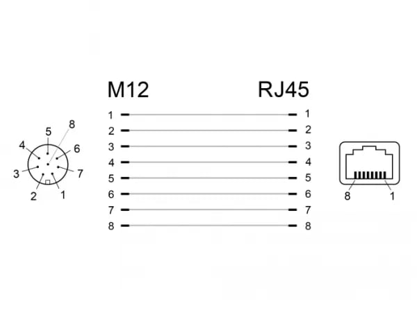 Delock - Nettverksadapter - 8-pins M12 (hunn) rett til RJ-45 (hunn) vinklet - CAT 6a - svart