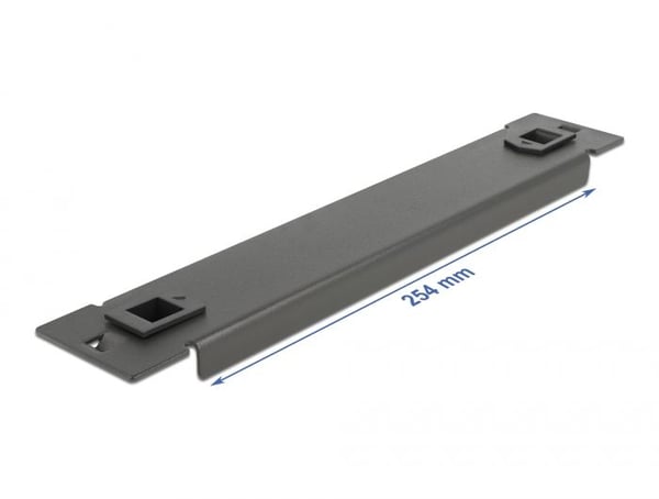 Delock - Dekkepanel for rackavskjerming - svart - 1U - 10"