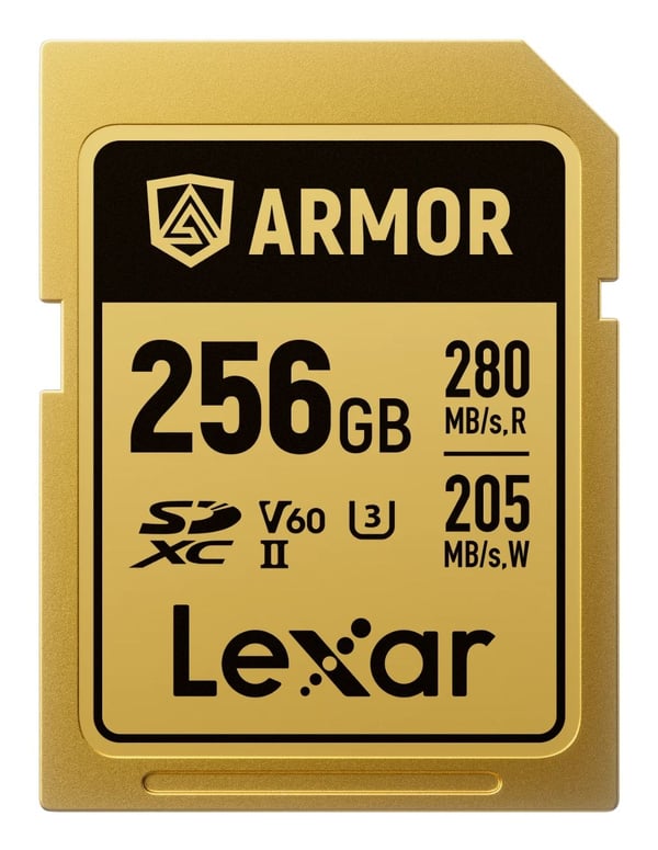 Lexar minneskort SDXC 256GB Armor Gold UHS-II U3