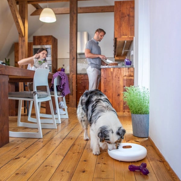 Tesla TSL-PC-SPIN Smart Pet Feeder Spin