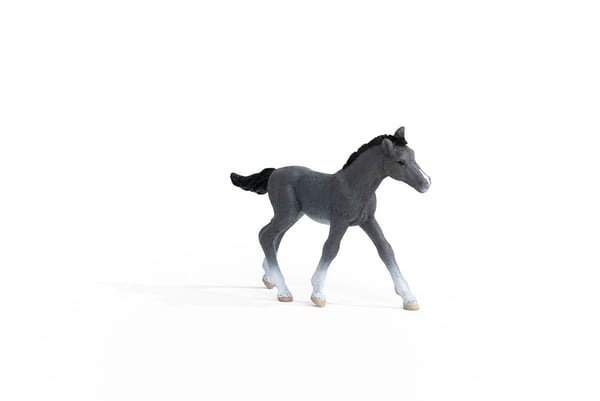 Schleich Trakehner hingstefole