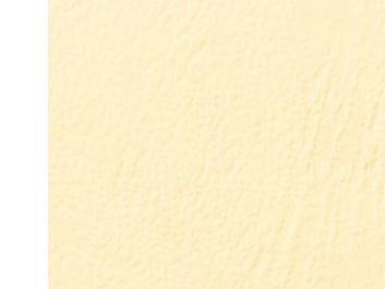 GBC LeatherGrain - A4 (210 x 297 mm) - elfenben - 250 g/m² - 100 stk permomslag