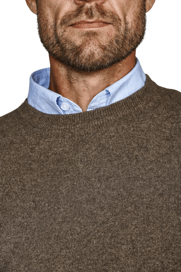 Crew Neck - 2021.01 - kashmir