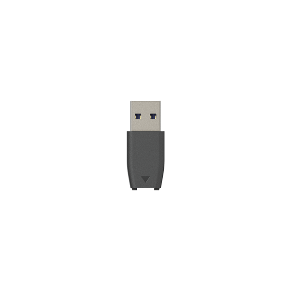Synology BeeDrive - SSD - 2 TB - ekstern - USB 3.2 Gen 2 (USB-C kontakt)