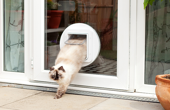 Sureflap Kæledyrsdør XL til microchip BRUN, til kat eller lille hund