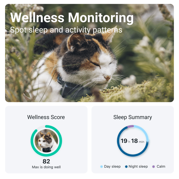 Tractive GPS CAT Mini - Dark Blue- Abonnement i app