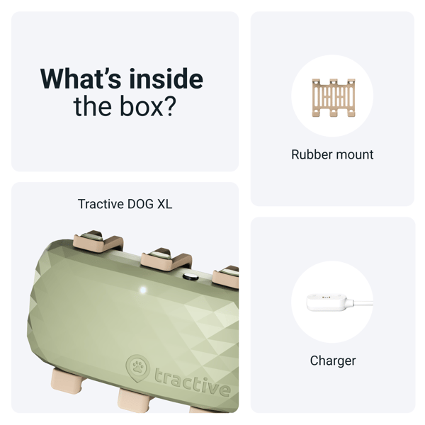 Tractive GPS DOG XL - Green- Abonnement i app