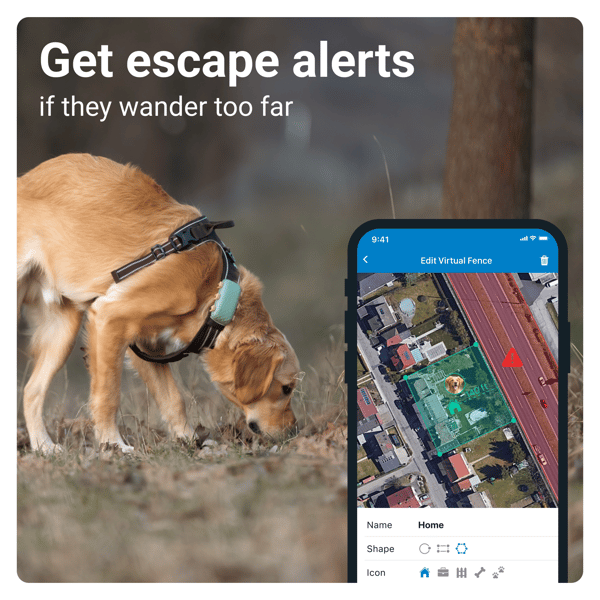 Tractive GPS DOG XL - Green- Abonnement i app