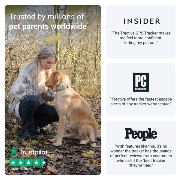 Tractive GPS DOG XL - Green- Abonnement i app