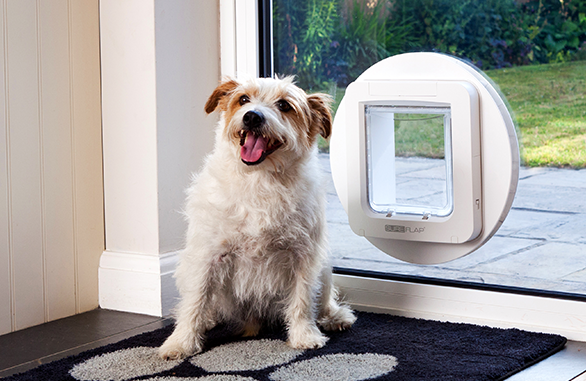 Sureflap Kæledyrsdør XL til microchip BRUN, til kat eller lille hund