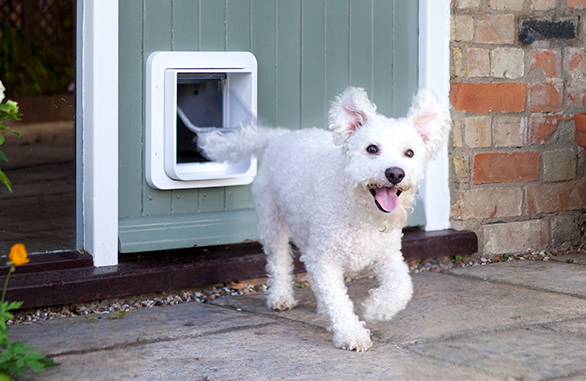 Sureflap Pet door XL for microchip WHITE, for katt eller liten hund