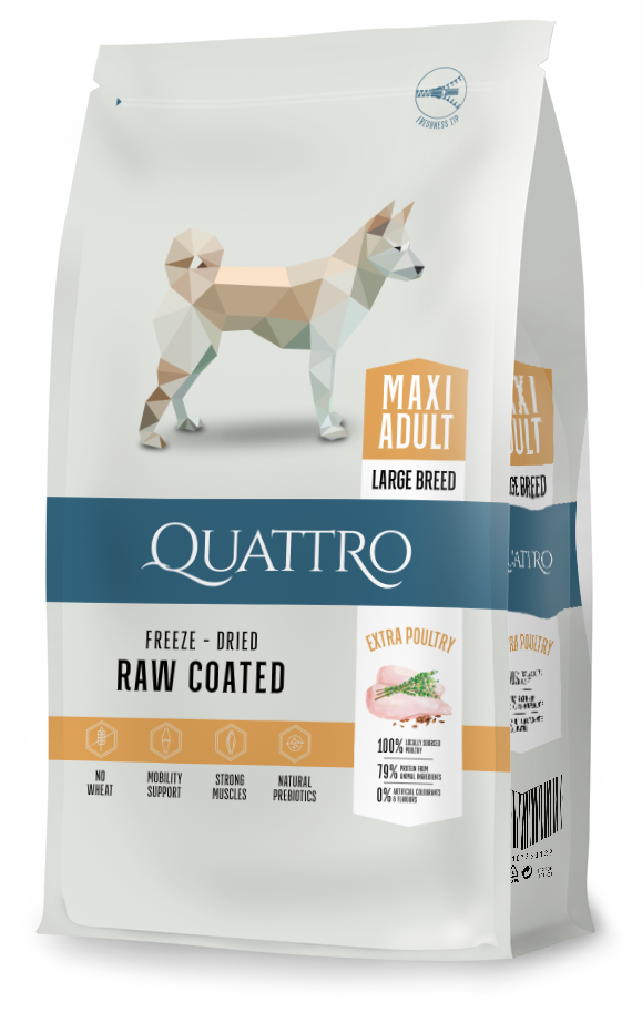 Quattro Super Premium siipikarja, Maxi Adult 3kg