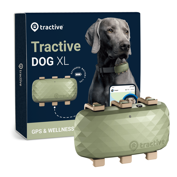 Tractive GPS DOG XL - Green- Abonnement i app