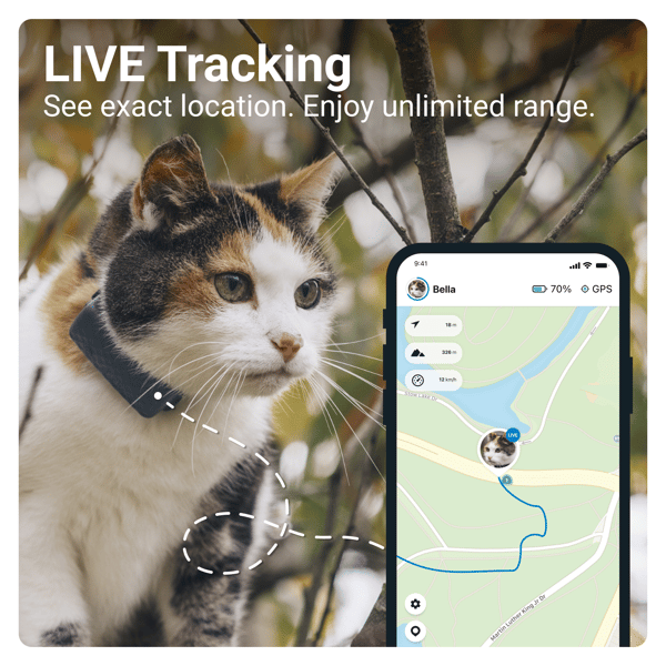 Tractive GPS CAT Mini - Dark Blue- Abonnement i app