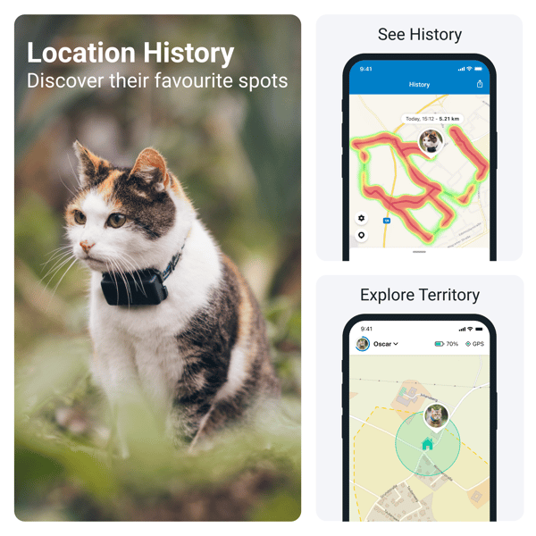 Tractive GPS CAT Mini - Dark Blue- Abonnement i app