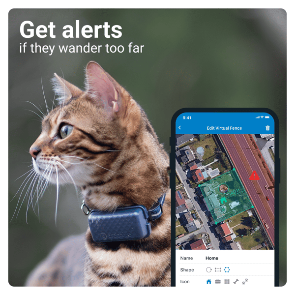 Tractive GPS CAT Mini - Dark Blue- Abonnement i app