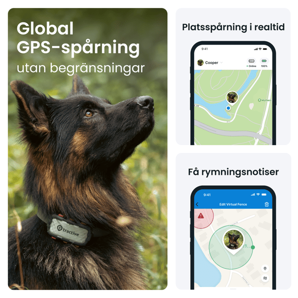 Tractive Tractive GPS DOG XL - Adventure Edition- Abonnement i app
