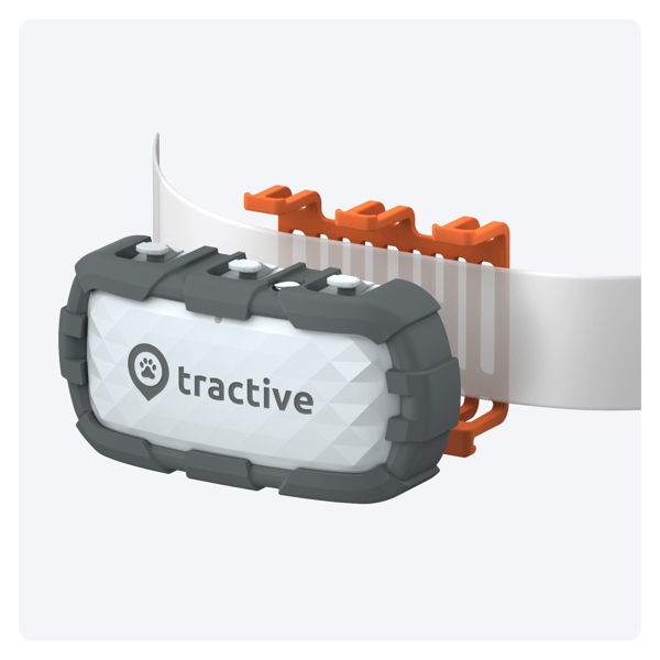 Tractive Tractive GPS DOG XL - Adventure Edition- Abonnement i app