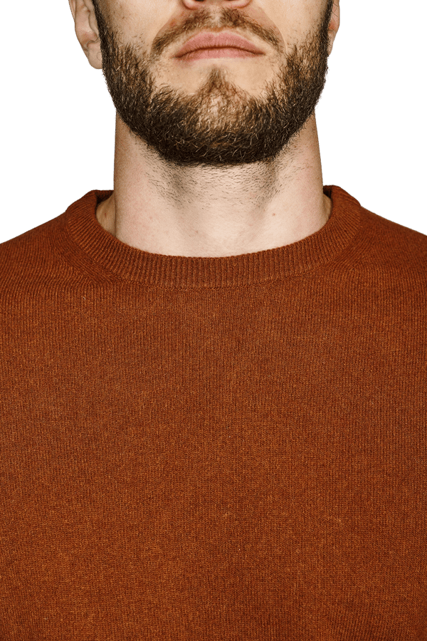 Crew Neck - 2021.01 - kashmiria