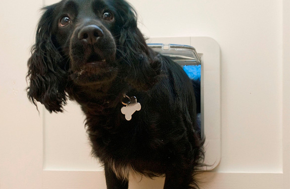 Sureflap Kæledyrsdør XL til microchip BRUN, til kat eller lille hund