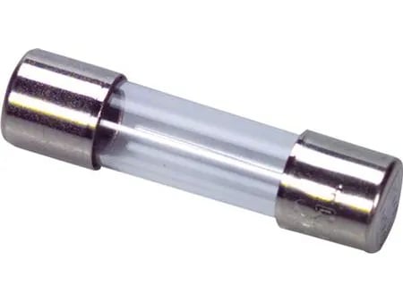 ESKA Hienosulake 100 mA5x20mm 250VTræg- (10 kpl)
