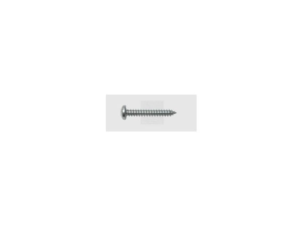 SWG Litteäpäiset lapiot 2,9 mm 13 mm Lapioleikkuri Philips DIN 7981 Teräs sinkitty 100 kpl
