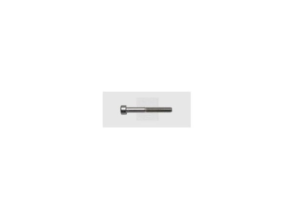 SWG insexskruvar M6 16 mm DIN 912 rostfritt stål A2 50 st