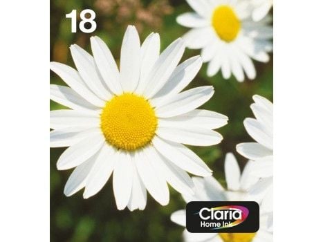 Epson Daisy Multipack 4-colours 18 EasyMail, Perusvärintuotto, 5,2 ml, 3,3 ml, 1 kpl, Monipakkaus