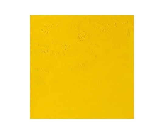 Artisan water mix oil 37 ml cad yellow light 113