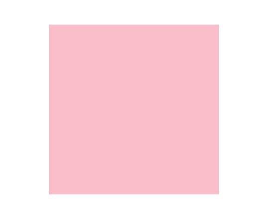 Promarker Baby Pink R228
