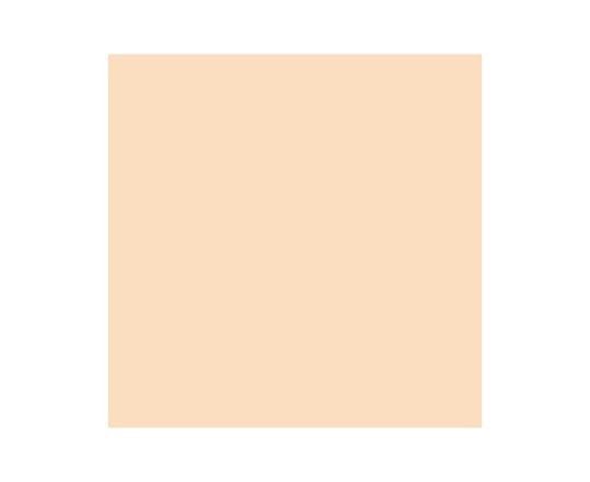 Promarker Blush O729