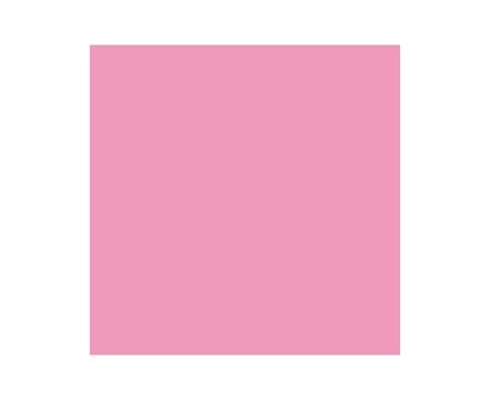 Promarker Rose Pink M727