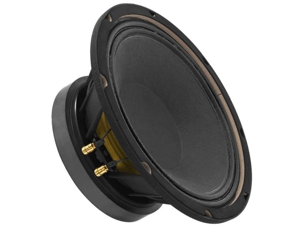 SP-10/250PRO 10´´-kaiutin 500Wmax